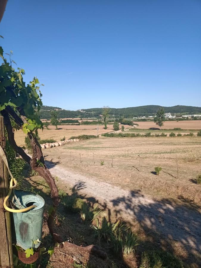 Agriturismo Podere La Selva Villa Serre Di Rapolano Luaran gambar