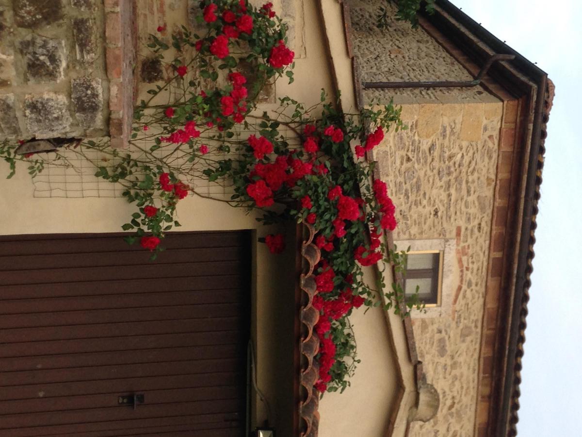 Agriturismo Podere La Selva Villa Serre Di Rapolano Luaran gambar
